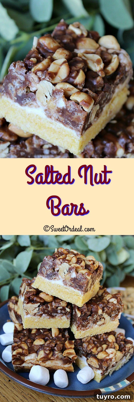 Sweet meets salty = Salted Nut Bars. Salted Nut Bars