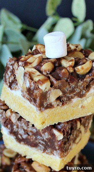 Sink your teeth into this sweet & salty bar. Salted Nut Bars