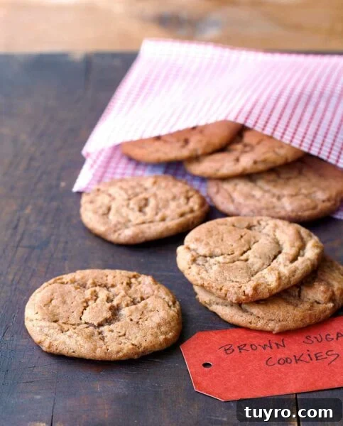 A wooden table with a pink gingham bag with 7 brown sugar cookies in it and a label.