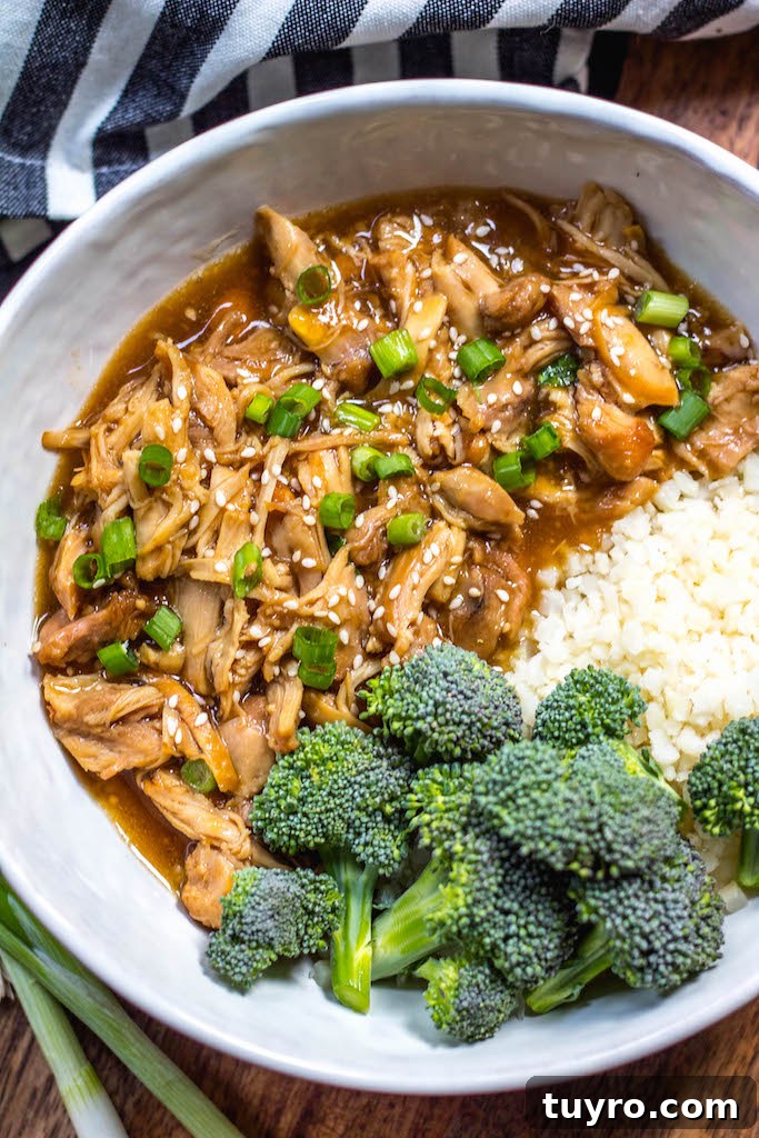 40 Whole30 Chinese & Asian-Inspired Recipes: Paleo, Low-Carb, Gluten-Free 3 img 7774 3