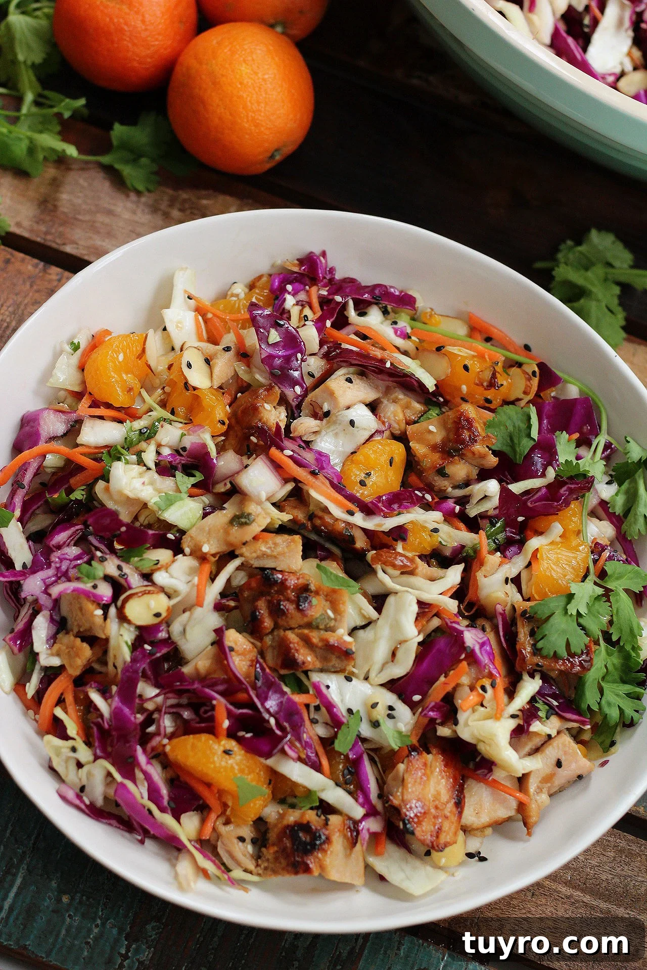 40 Whole30 Chinese & Asian-Inspired Recipes: Paleo, Low-Carb, Gluten-Free 7 img 7774 7