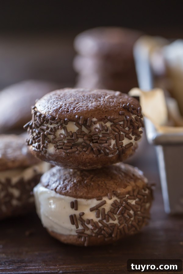 How to Make Soft, Chewy Brownie Cookies 7 Two Brownie Cookie Ice Cream Sandwiches with chocolate sprinkles stacked.