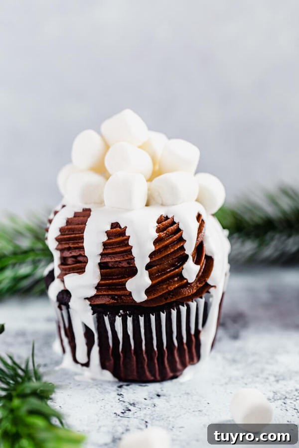 Single Hot Chocolate Cupcake one hot chocolate cupcake with green branches