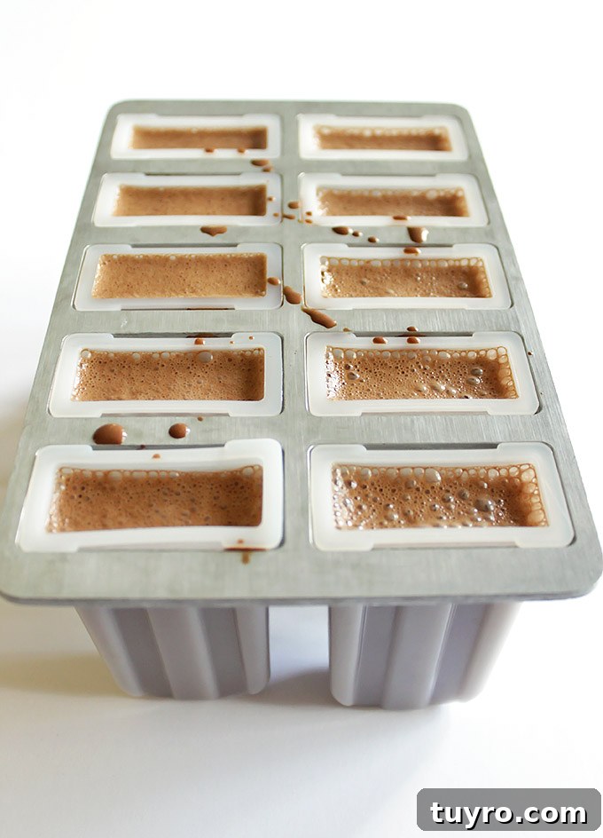 Boozy Fudgsicles (Vegan + Gluten Free) - Rich, creamy, and refreshing and spiked with a little rum. These boozy fudgsicles are the perfect summertime indulgence. A rum free option is available. | robustrecipes.com