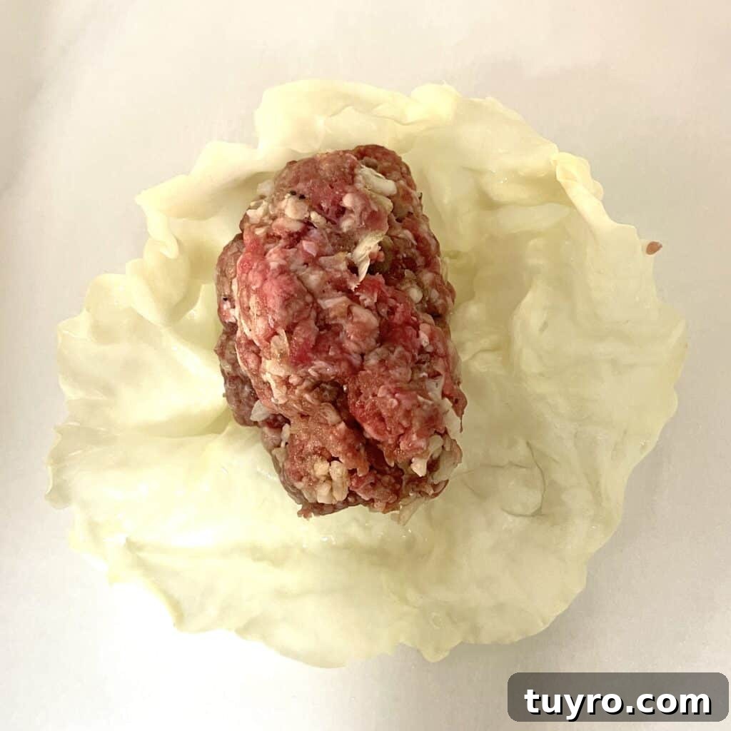 stuffed cabbage open