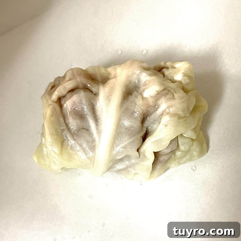 stuffed cabbage rolled
