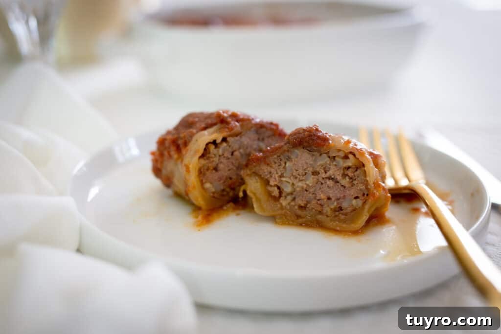 stuffed cabbage cut in half