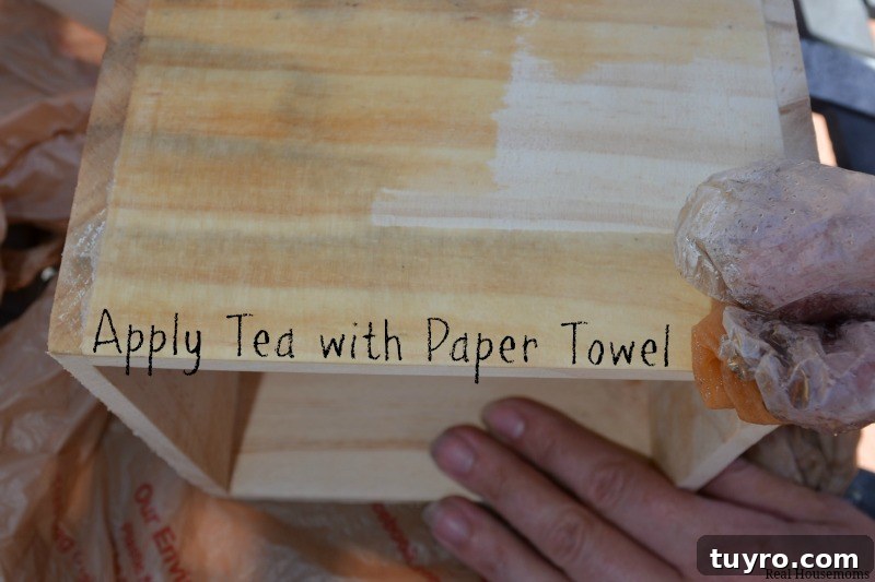 Create a DIY Indoor Kitchen Herb Garden for Fresh Flavor 4 Apply Tea with Paper Towel