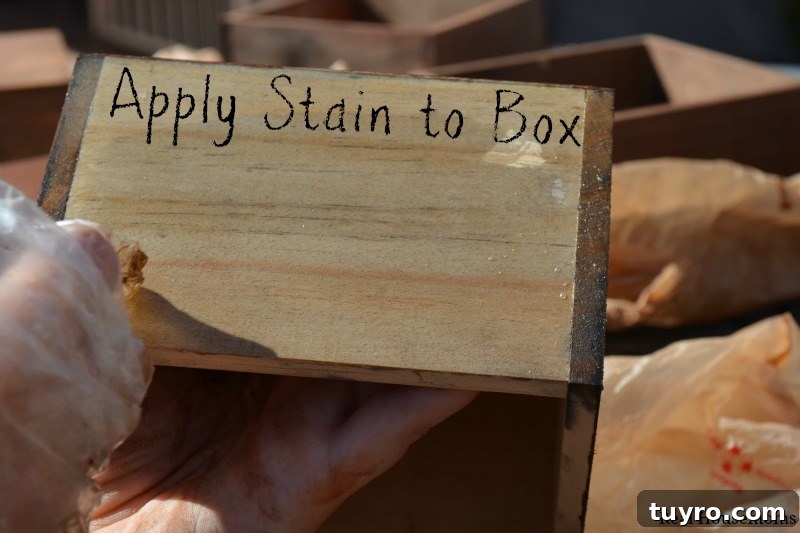 Create a DIY Indoor Kitchen Herb Garden for Fresh Flavor 5 Apply Stain to Box