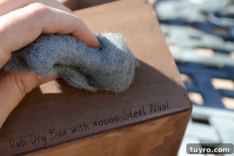 Create a DIY Indoor Kitchen Herb Garden for Fresh Flavor 6 Rub with Steel Wool