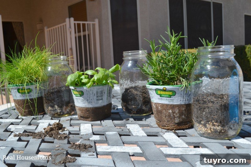 Create a DIY Indoor Kitchen Herb Garden for Fresh Flavor 8 Herbs and jars_not planted