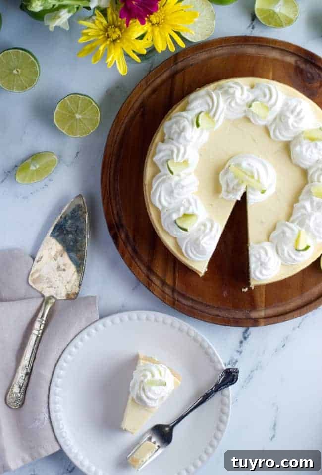 Keto Key Lime Cheesecake Recipe: Low-Carb Citrus Cheesecake 4 overhead keto key lime pie cheesecake photo