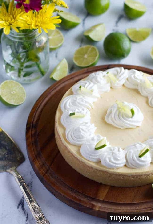 Keto Key Lime Cheesecake Recipe: Low-Carb Citrus Cheesecake 5 cheesecake on serving plate