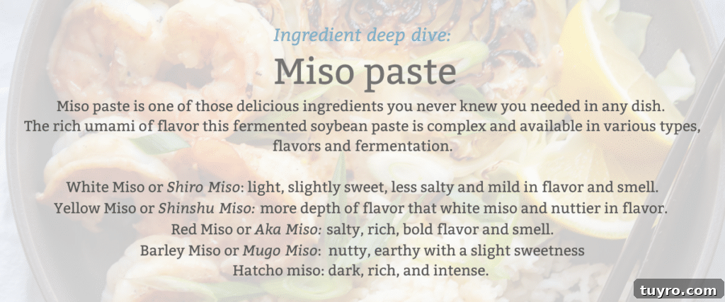 Miso Butter Shrimp Recipe: Savory Glazed Shrimp in 20 Minutes 4 What are the different types of miso, and how do they taste?