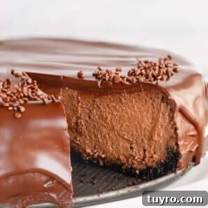 Supreme chocolate cheesecake with a slice missing.