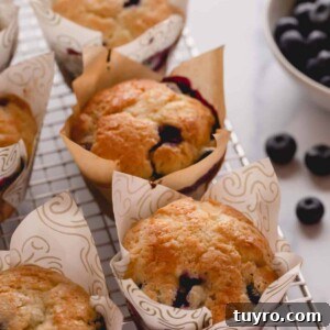 Blueberry muffins on a wire rack.
