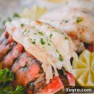 A baked lobster tail on its shell