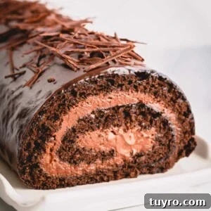 A chocolate roll cake with mousse in the middle