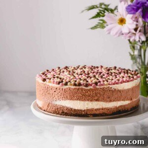 Neapolitan no-bake cheesecake