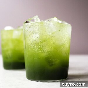 Sparkling Matcha Green Tea Soda 10 Sparkling green tea soda