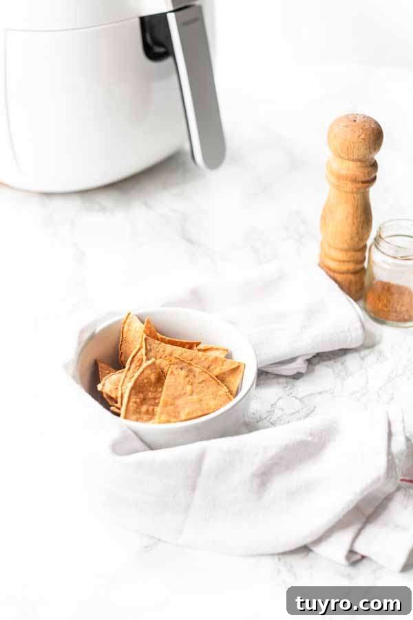Crispy Air Fryer Tortilla Chips Recipe for Snack Lovers 11 Air Fryer tortilla chips