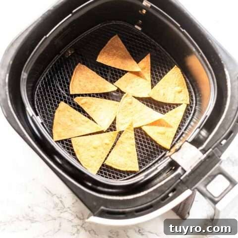 Air Fryer tortilla chips
