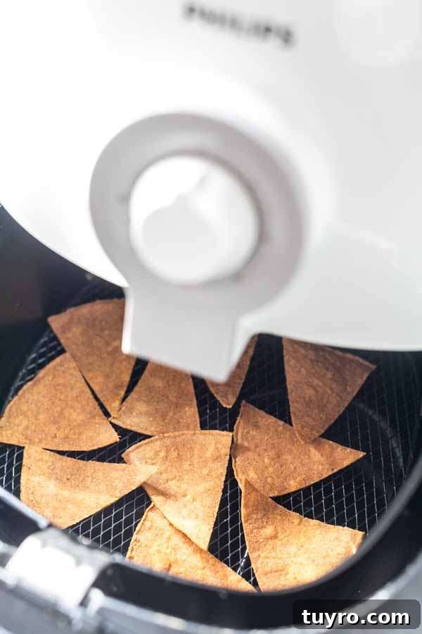 Crispy Air Fryer Tortilla Chips Recipe for Snack Lovers 4 Air Fryer tortilla chips