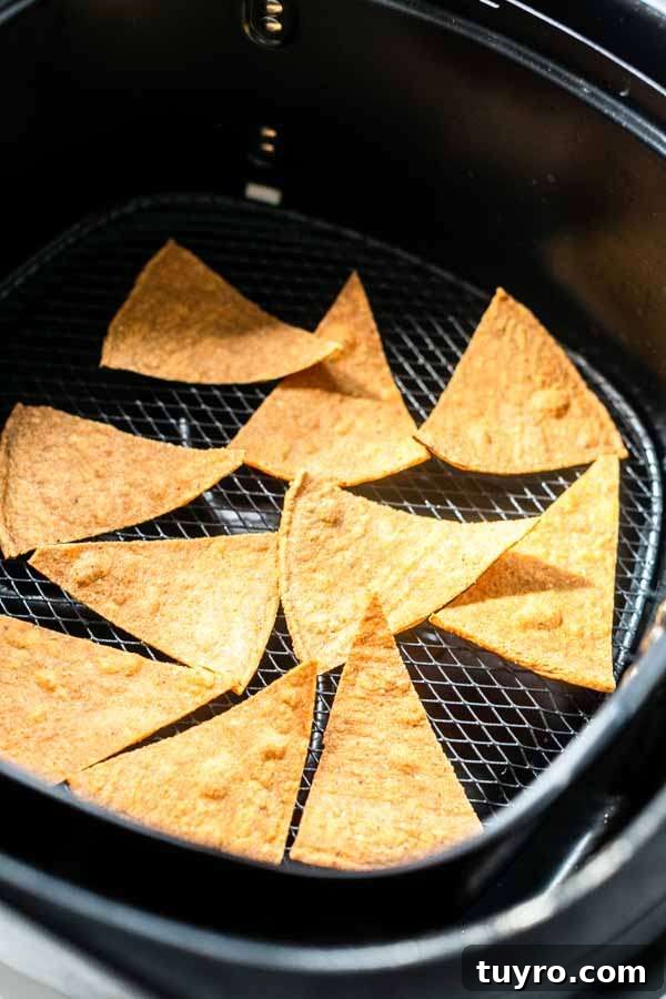 Crispy Air Fryer Tortilla Chips Recipe for Snack Lovers 5 Air Fryer tortilla chips