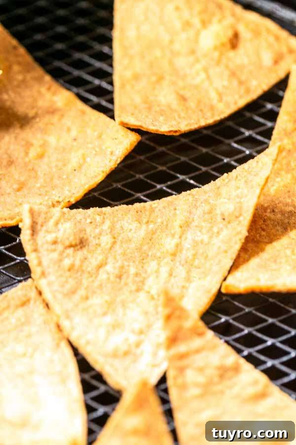 Crispy Air Fryer Tortilla Chips Recipe for Snack Lovers 6 Air Fryer tortilla chips