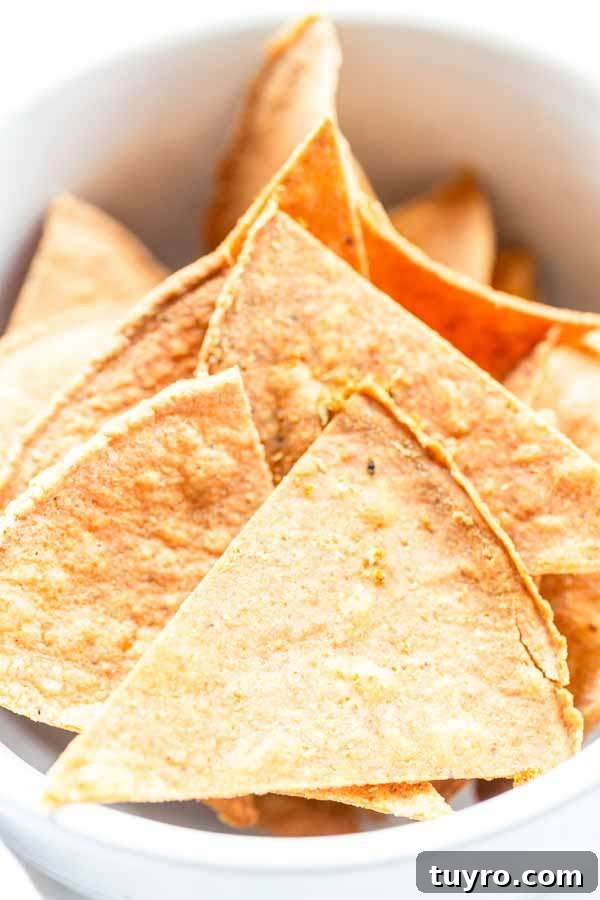 Crispy Air Fryer Tortilla Chips Recipe for Snack Lovers 7 Air Fryer tortilla chips