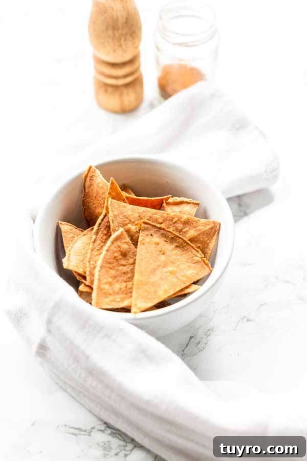 Crispy Air Fryer Tortilla Chips Recipe for Snack Lovers 8 Air Fryer tortilla chips