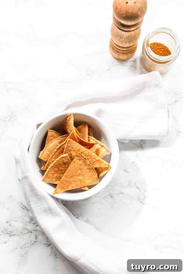 Crispy Air Fryer Tortilla Chips Recipe for Snack Lovers 9 Air Fryer tortilla chips