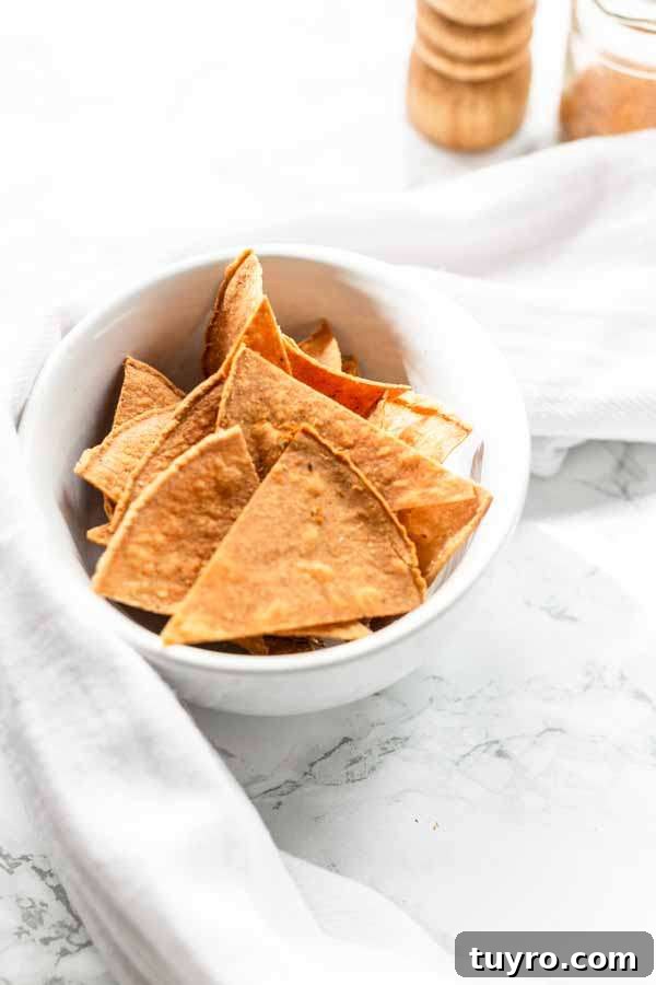 Crispy Air Fryer Tortilla Chips Recipe for Snack Lovers 10 Air Fryer tortilla chips