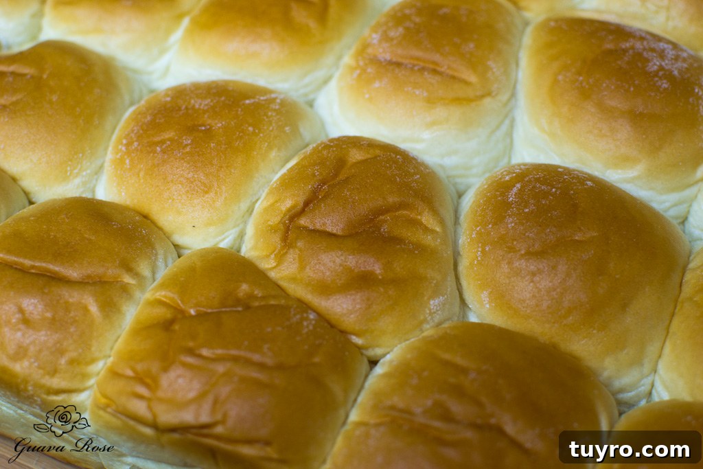 Hawaiian sweet rolls 