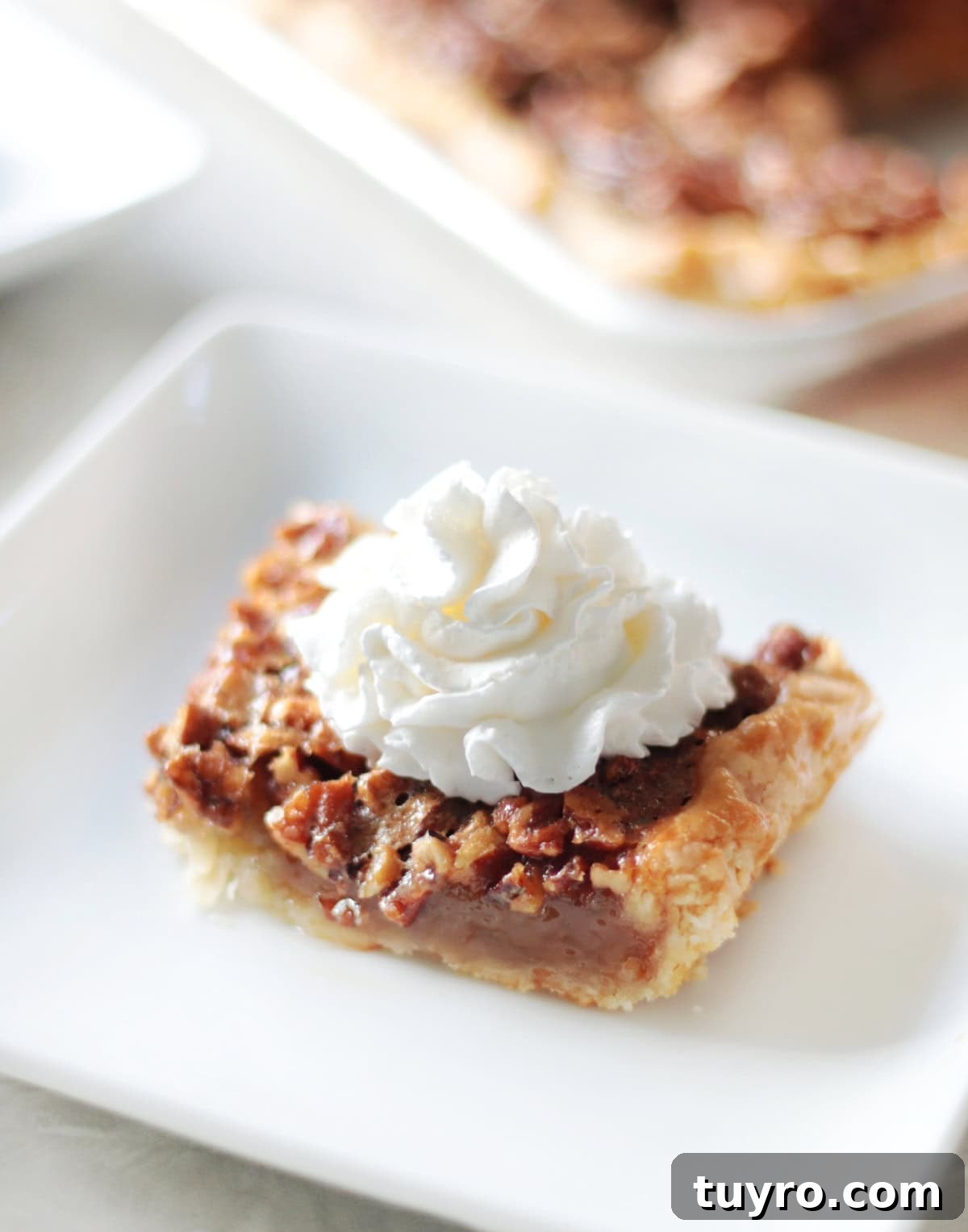 Sheet Pan Pecan Slab Pie Recipe 11 Slice of pecan slab pie with whipped cream on a white plate.