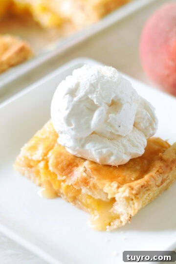 slab pie on white plate