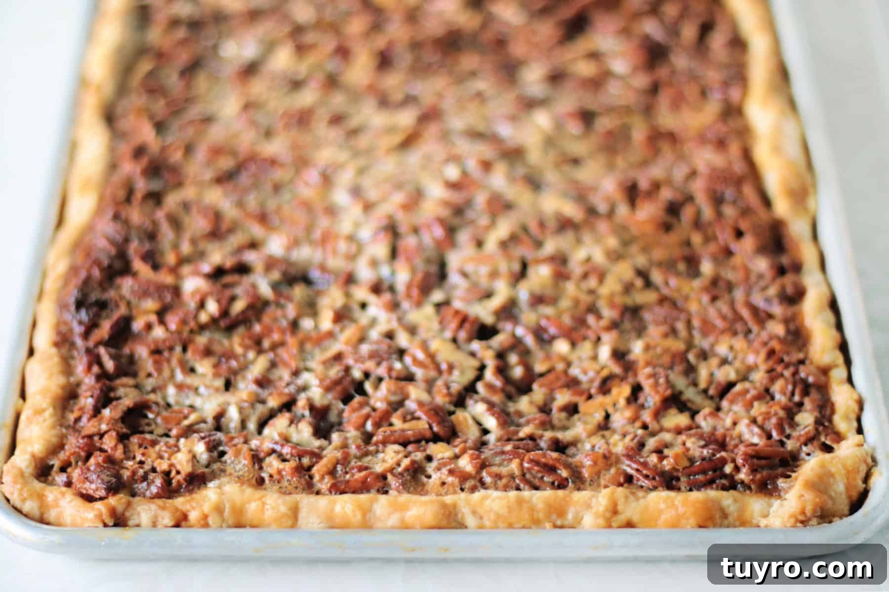 Sheet Pan Pecan Slab Pie Recipe 10 Pecan pie in a jelly roll pan.