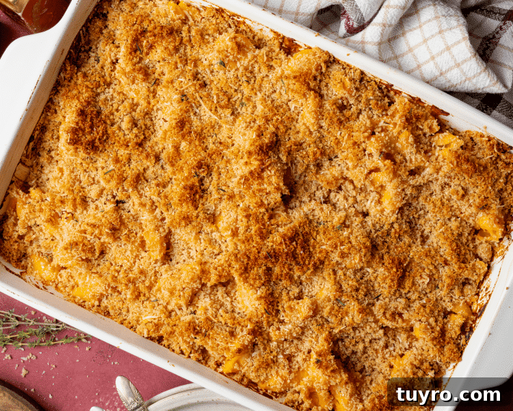 Sweet potato mac and cheese baked in 9x13 baking dish.