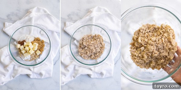 Steps of making oat streusel, adding the ingredients to a bowl and mixing until a corse crumb in achieved.