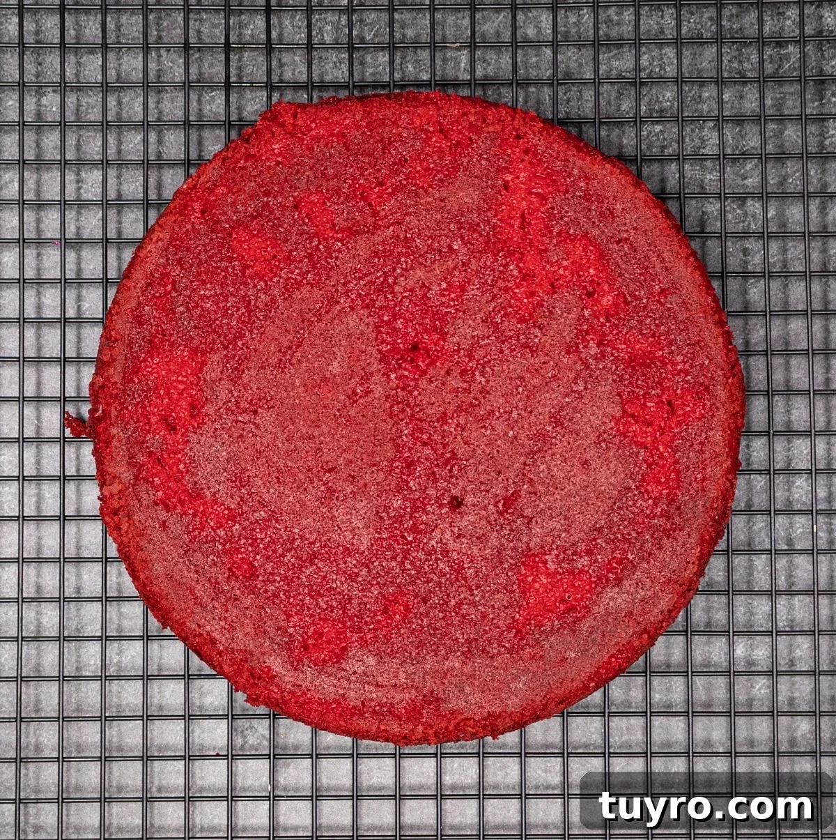 Classic Red Velvet Cake with Cream Cheese Frosting 11 cooked red velvet cake layer upside down on a cooling rack.