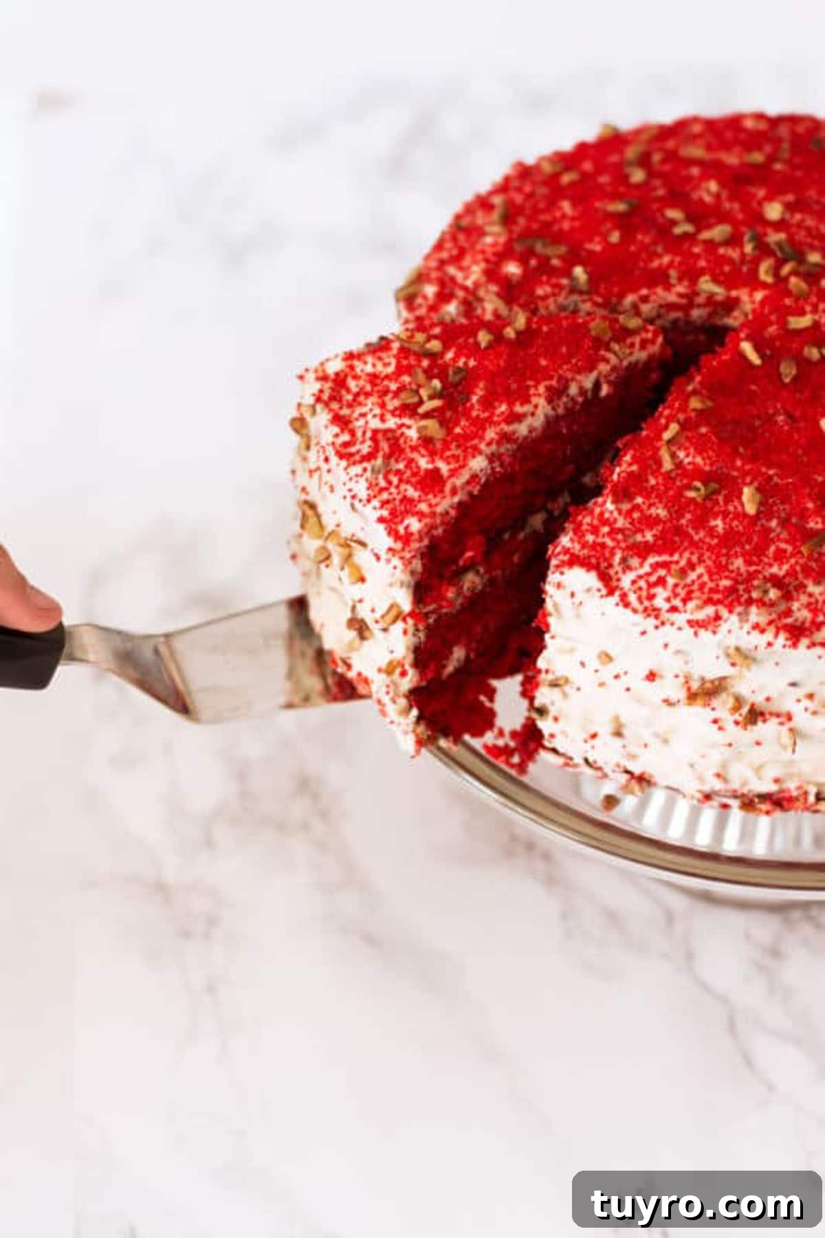 Classic Red Velvet Cake with Cream Cheese Frosting 17 Person slicing a Red Velvet Cake and getting ready to serve with a spatula.