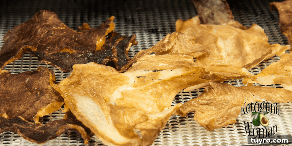 How to Make Crispy Carnivore Meat Chips 2 Carnivore Meat Chips on dehydrator sheet