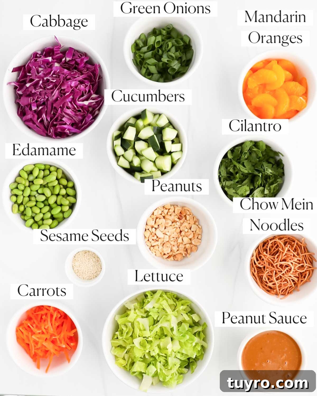 Labeled ingredients including: green onions, cabbage, mandarin oranges, cucumbers, cilantro, edamame, peanuts, chow mein noodles, sesame seeds, lettuce, carrots, peanut sauce.