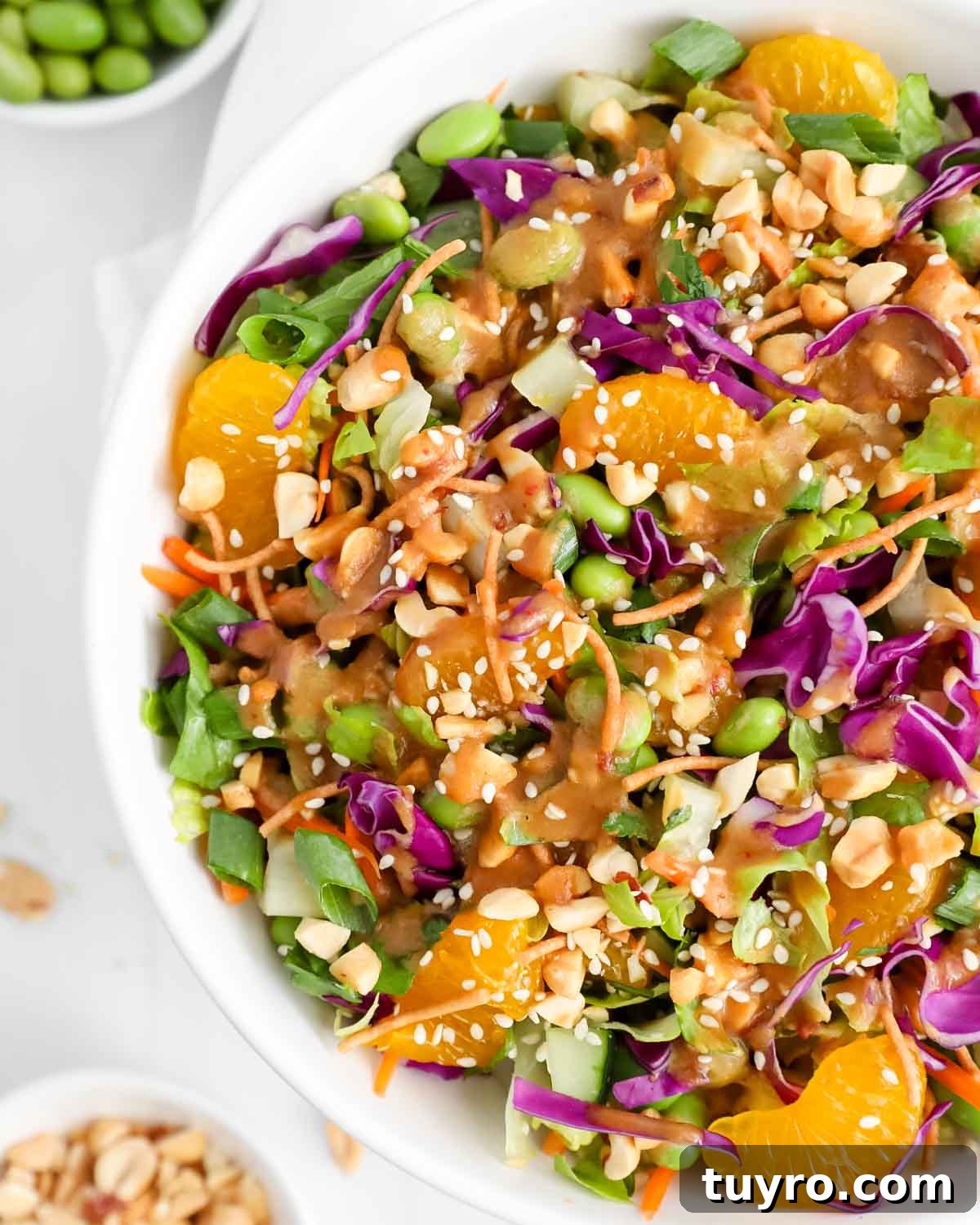 A close-up picture of mandarin orange salad with fresh vegetables, crunchy chow mein noodles, and a peanut sauce.