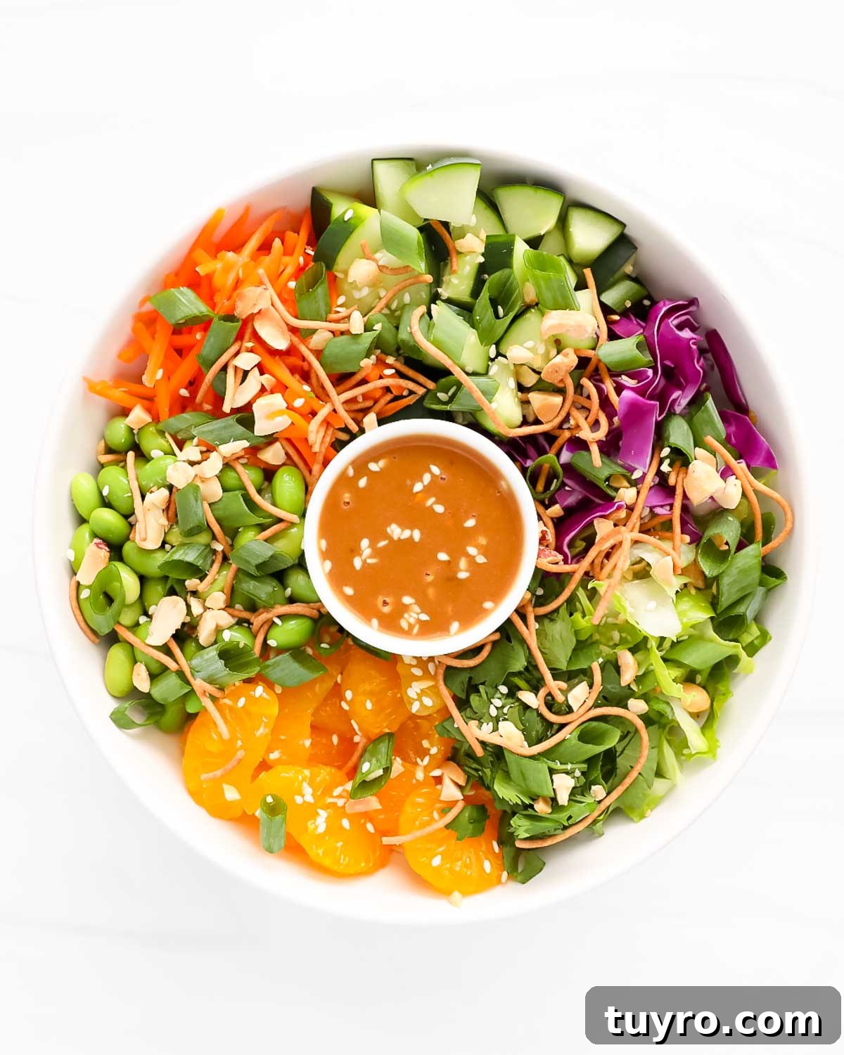 Salad in a bowl divided into ingredient sections including: cucumbers, cabbage, lettuce, oranges, edamame, carrots, and sauce.