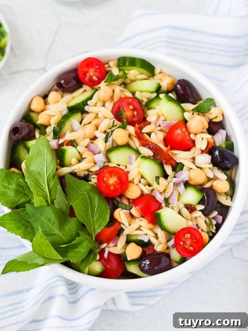 Mediterranean Orzo Salad with orzo, chickpeas, tomato, olives, sun-dried tomatoes, red onion, and fresh herbs.