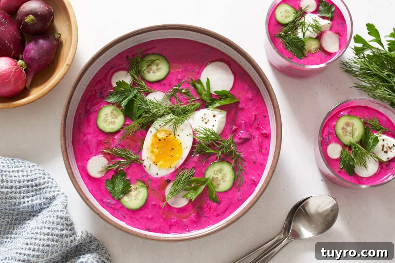 Chilled Beet Borscht: Classic Cold Soup Recipe 2 A bowl and two small glasses of cold borscht with toppings including sliced cucumbers and radishes, fresh herbs, and a hard boiled egg. Fresh herbs, two spoons, a blue napkin, and a bowl of radishes surround the soups.