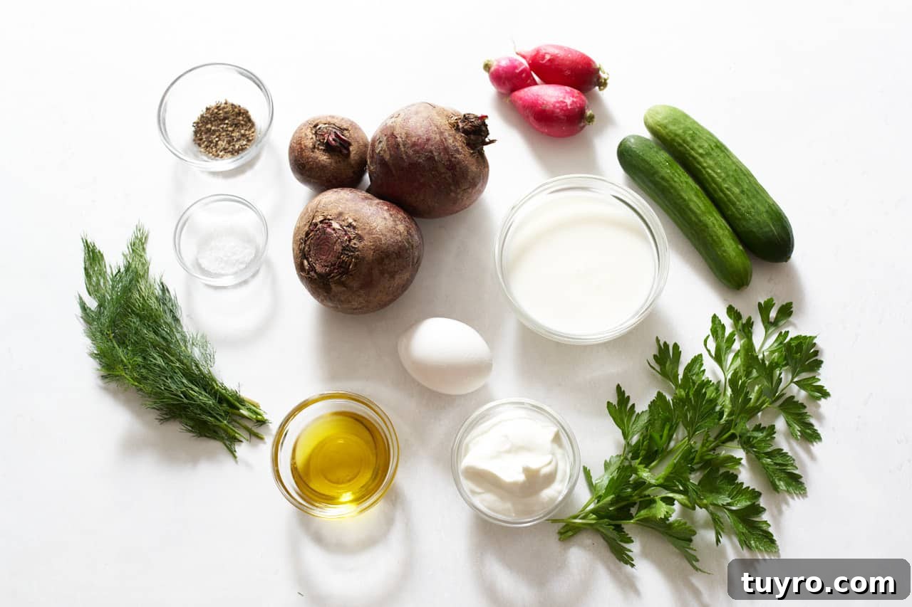 Chilled Beet Borscht: Classic Cold Soup Recipe 3 Beets, cucumbers, radishes, an egg, fresh parsley and dill, and small bowls of salt, pepper, kefir, yogurt, and olive oil.