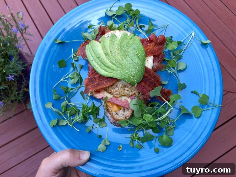 bacon egg avocado toast
