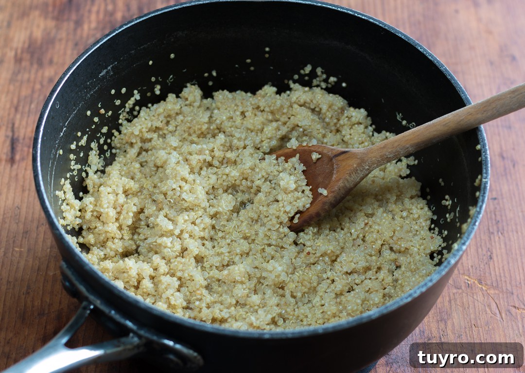 Cooked quinoa for a healthy Buddha bowl recipe